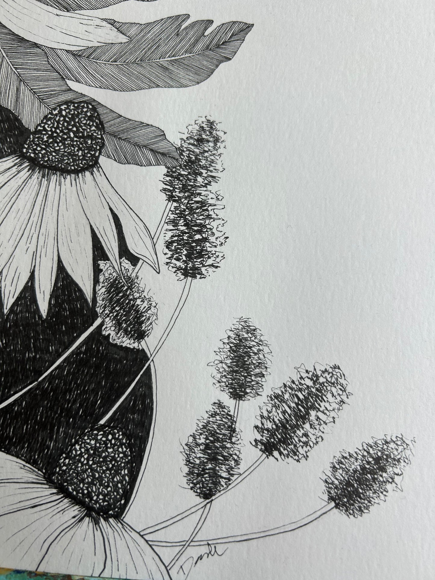 Wild Flower Pen Drawing ORIGINAL